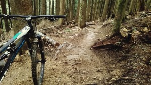 MTB Trails Tiger Mountain East